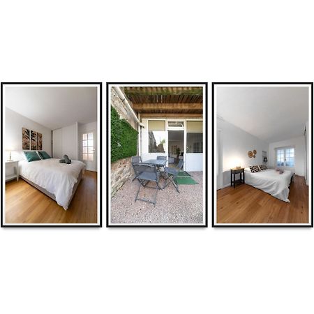 Le Celestin - Appartement 2 Chambres Avec Jardin En Centre Ville Виши Екстериор снимка